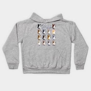 Border Collie Colors Kids Hoodie